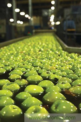 使用成像技術優(yōu)化食物分揀過程 使用成像技術優(yōu)化食物分揀過程