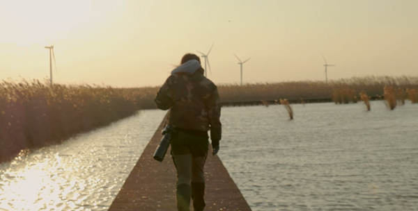 世界濕地日：?？低晹y手一個(gè)地球自然基金會(huì)，在上海守護(hù)這個(gè)重要“驛站”