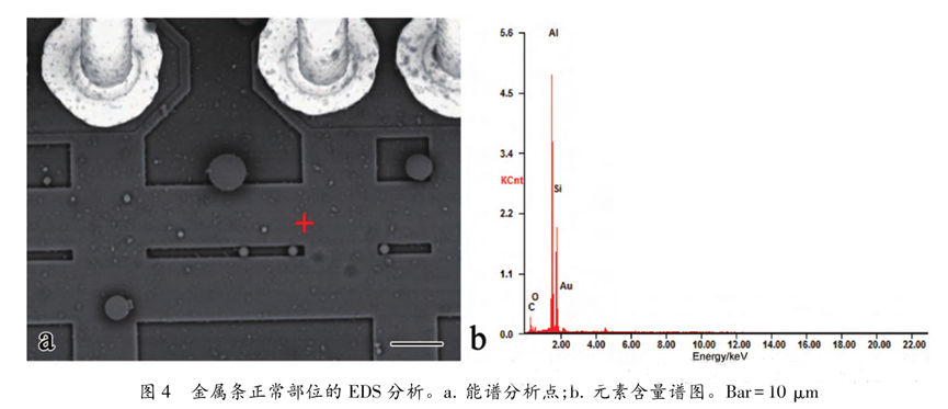 超聲波清洗暗藏"芯片密碼":二氧化硅顆粒撞擊機(jī)理揭秘 超聲波清洗暗藏"芯片密碼":二氧化硅顆粒撞擊機(jī)理揭秘